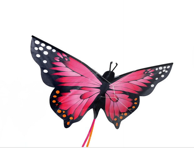 Stackable Butterfly Kite with Ripstop coated Fabric Material for beach sporting