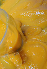 Fruit Juice Double Stage 10TPH Mango Processing Line