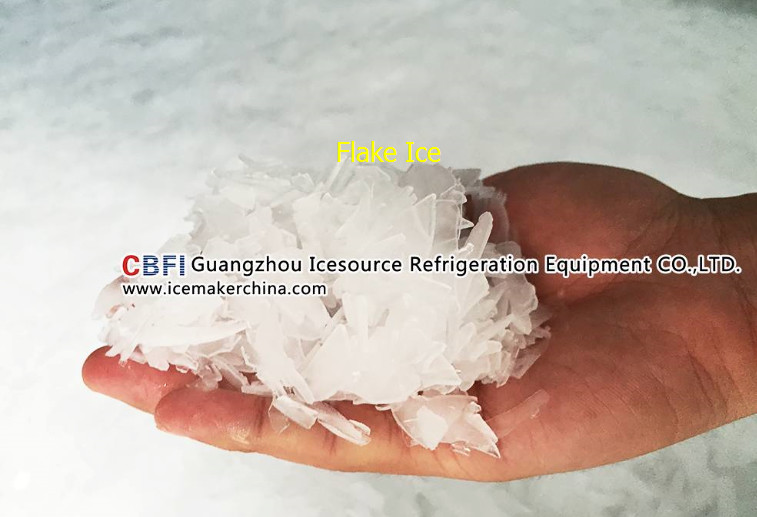 Customized 10 Tons Flake Ice Machine CBFI Compressor R507 Refrigerant