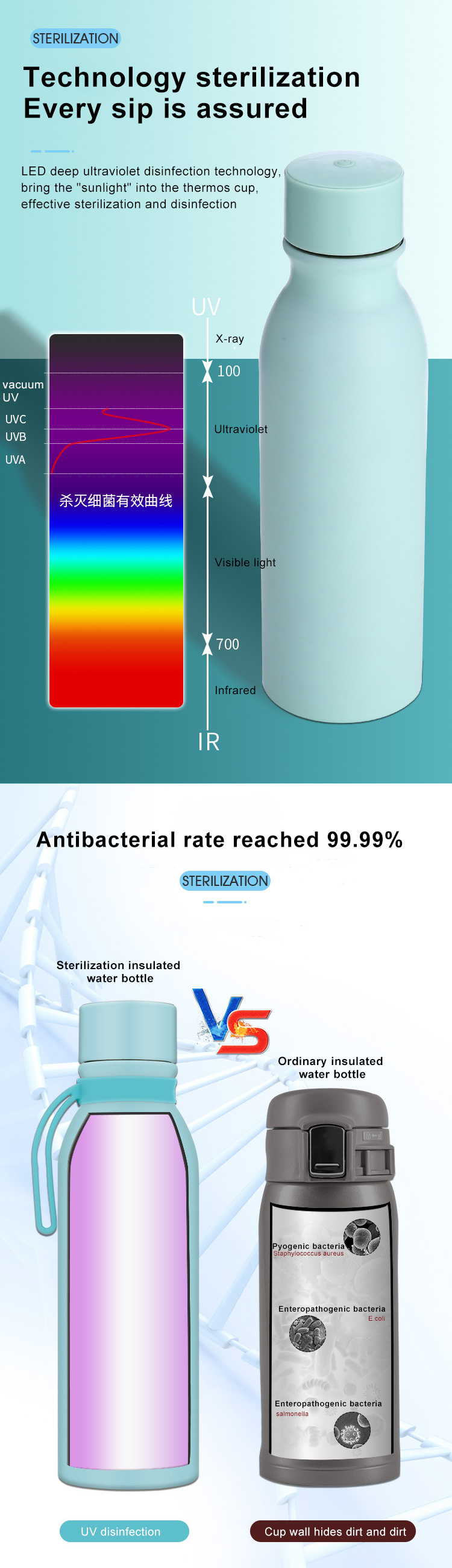 650Ml SS304 Uv Sterilizer Water Bottle With PP Lid