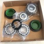 462014710 INA - BMW Gearbox 168L Bearing Differential Kit , LuK GearBOX, Part