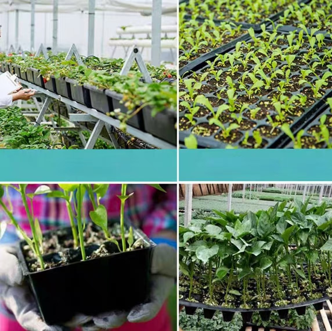No Holes Rectangular Flat Nursery Plastic Tray PS Greenhouse Heat Resistance