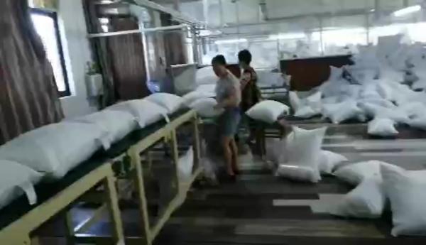 JBJ-9 Pillow rolling machine, cushion coiling packing machine, auto package