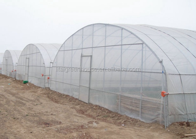 Film Covered Galvanized Greenhouse for Stable Structure and Vegetable Cultivation