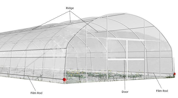 Economical Tunnel Greenhouse with Side Ventilation for Plant Growth