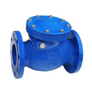Quality Non Return Stainless Steel Check Valve Spring Loaded Medium Pressure wholesale