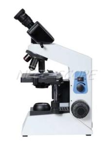 Quality Teaching Laboratory Biological Microscope Decimal PL 10 X/20mm NCB-B100 wholesale