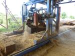 DS1300 Swing Blade Sawmill 1300mm Wood Circular Saw Machine Portable