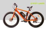28km/H Fat Tire Cruiser Ebike Front Motor Pedals Assisted Disc Brake