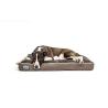Buy cheap Warter Resistant Shredded Memory Foam Dog Bed Thick Orthopedic 4 Color Trims 4 from wholesalers