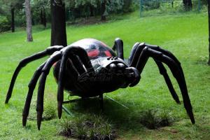 Quality Attractive Realistic Animatronic Insects Spider For Theme Park Exhibition wholesale