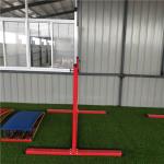 Outdoor Children Gymnastics Equipment Kids HORIZONTAL Bar with Adjustable Height