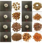 Ss 304 Dual Screw Pet Food Processing Line Automatic