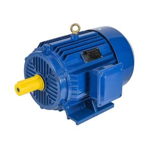 Quality Iec 132 Iec 34 Motor Iec 60034 wholesale