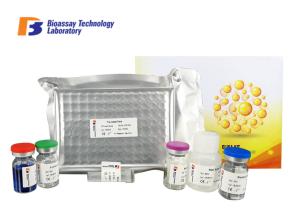 Quality Sorbitol Dehydrogenase Sandwich Bovine ELISA Kits 96 Wells Plate ISO Approval wholesale