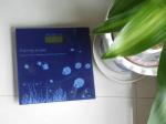 Health Meter Digital body bathroom Scale