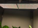 240W 660nm Quantum Board Led Grow Lights