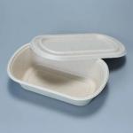 Sugarcane Eco Friendly Biodegradable Plates Food Packaging 1100ml Custom Logo