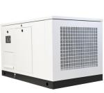 10kw15kw Natural Gas 1phase Propane Butane Mixture LPG Gas Generator for Your