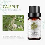 100ml Massage Essential Oils MSDS Cajeput Essential Oil Skin Benefits