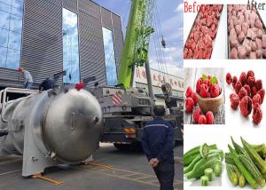 Quality PLC Control Vacuum Food Dryer Drying Time 18-24 Hours 200Kg/Batch wholesale