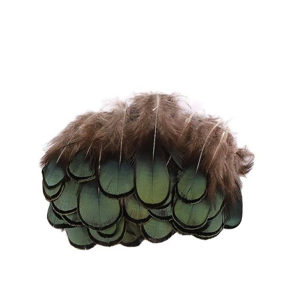 2-4 Cm Golden Pheasant Green Plumage Feathers Shipping DHL UPS FEDEX TNT