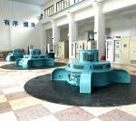 High Power 100-20MW 50-60Hz Water Powered Turbine Generator 220-11000V 5-30m