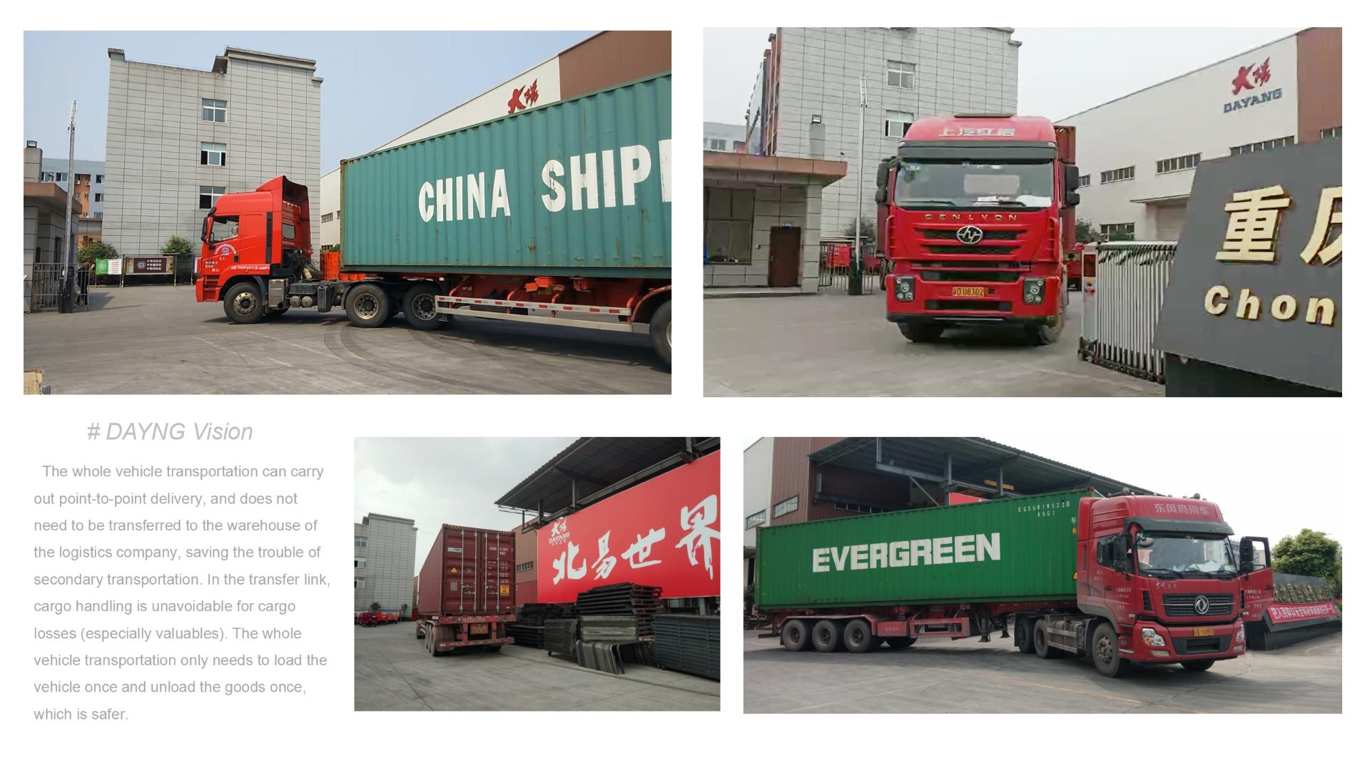 Standard Size Motorized Tricycles 800kg Loading Capacity for Your Business Needs