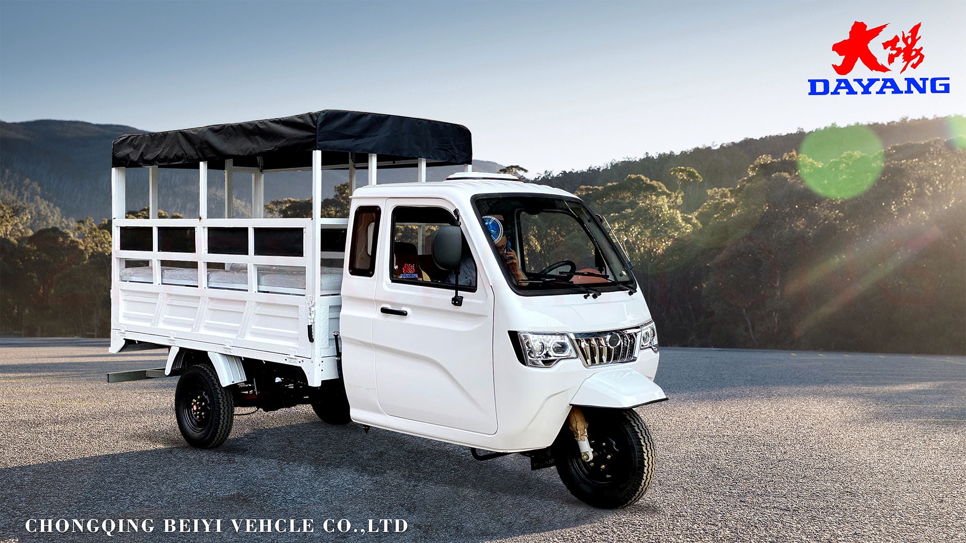 800W Semi-Cabin Motorized Cargo Tricycle with Enclosed Cabin and Plastic Cargo Cover