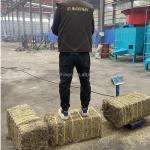 Hydraulic Alfalfa HAY BALERS with Auto Tie 20-30kg Bale Weight and Baler Package