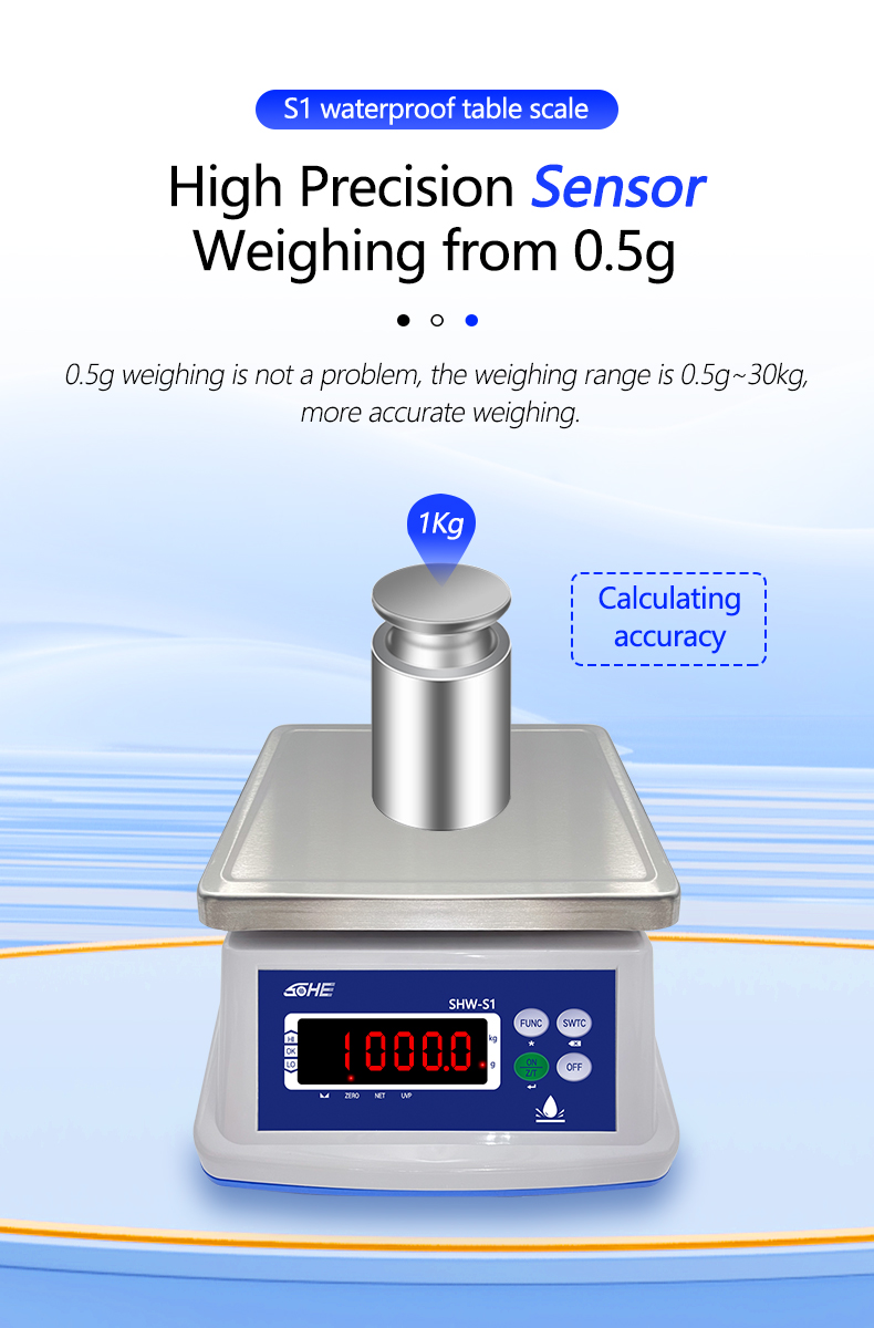 Double Layer Structure 30KG Waterproof Scale with Precision Sensor and LED Display