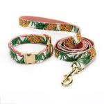 Durable Reflective Harness Leash Set Comfortable Dog Collar Leash