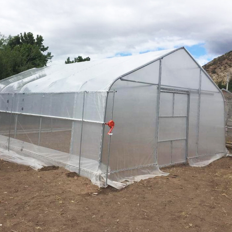 Single-span PE Covered Tunnel Plastic Greenhouse For Strawberry Grape Raspberry