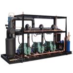 420v R404A Cold Room Compressor Condensing Unit 4HE18Y