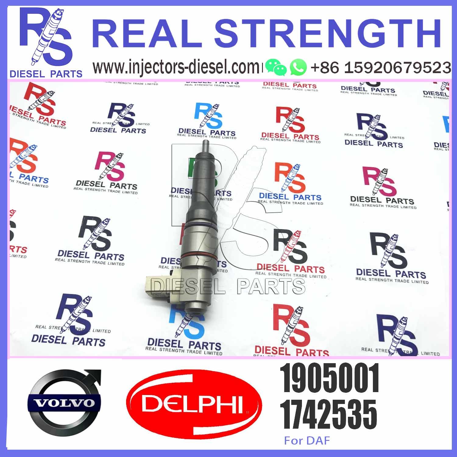 Fuel Injector Assembly BEBJ1A05002 BEBJ1A00202 BEBJ1A05001 1905001 1846419 1905002