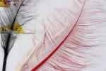 Handmade Multi Colored Millinery Feather Burnt Ostrich Plumes Feather 50-55cm