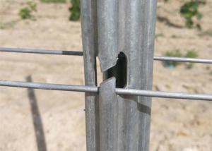 Quality Hot Galvanized Surface Steel Vineyard Posts Rust Resistant And Waterproof wholesale