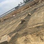 Industrial Design Style Bidirectional Plastic Geogrid for Road Foundation