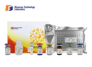 Quality SDMA ELISA Assay Kit Canine ELISA Kits Symmetric Dimethylarginine 96 Wells Size wholesale