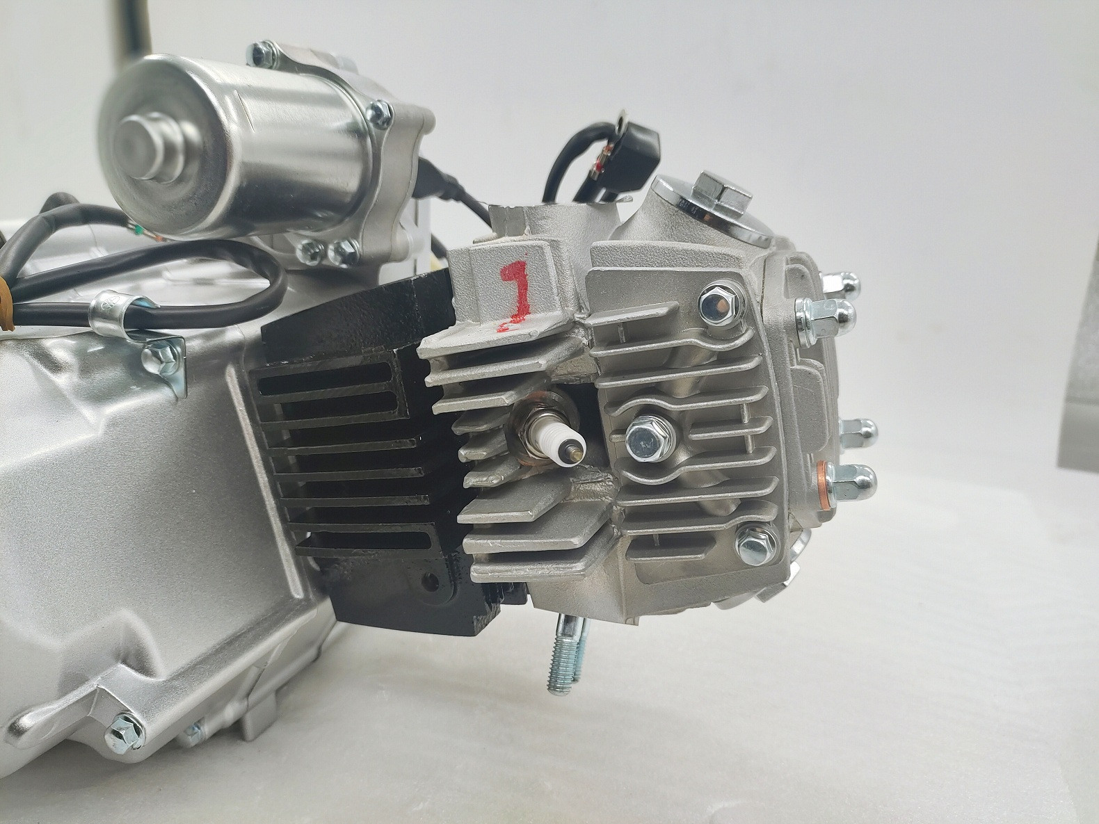 Complete Motorcycle Nature 110CC Engine Cylinder Style A Class Origin Ignition CCC