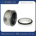 BERGMAN Replaces John Crane 502 18mm-100mm G60 G4 G6 G9 G13 G16 BS Bo BP Pump