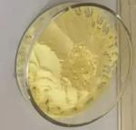 HUNTSMAN PI Polyimide Powder Matrimid 5218&9725 Resin Hollow Fiber Membrane
