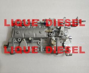 Quality High pressure fuel injection pump assembly 3976801 6A125A WEIFU wholesale