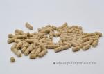Typical Wheat Taste Pellet Protein Wheat Gluten 82% protein content