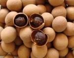 Low Noise Dried Longan 1170x710x1700mm Food Drying Cabinet