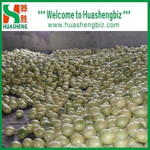 Quality China Best Quality Pinghe Pomelo wholesale