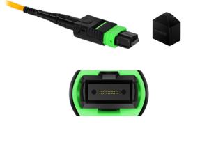 Quality 24 Cores Single Mode Fiber Patch Cord 55dB Return Loss Customized Length wholesale