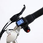 250W 26 Inch Electric City Bike With Pedal Assist 8Ah / 10Ah Lithium Battery