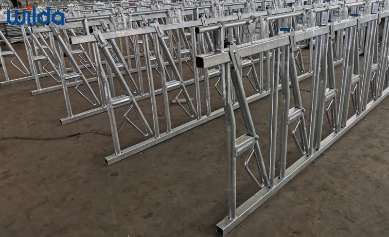 Galvanized Steel Fence Cow Ring Hot Galvanized Livestock Fencing Squeeze Chute Hot Dipped