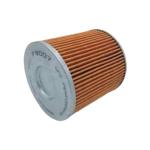 99.99% Precision Truck Cabin Air Filter P502226